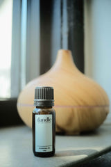 Small glass bottle of organic essential oil blends sitting in front of wooden diffuser that is diffusing lavender frankincense blend. Holistic remedy for headaches, PMS, stress, congestion, sleep and immunity.